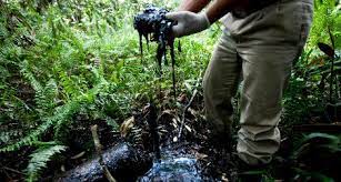Oil Spill in the Ecuadorian Amazon: How the Oil Industry is Destroying the Amazon